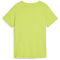 PUMA Active Sports Polyester Graphic Trainingsshirt Jungen