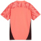PUMA individualFINAL Forever Faster Trikot Kinder