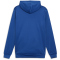 PUMA Individual Padel Trainings-Hoodie Herren