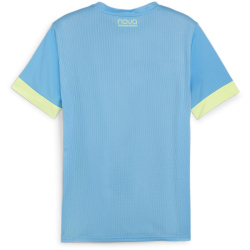 PUMA IndividualGOAL Graphic Trikot Herren