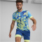 PUMA IndividualGOAL Graphic Trikot Herren