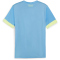 PUMA IndividualGOAL Graphic Trikot Herren