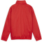 PUMA teamGOAL Allwetterjacke Kinder