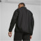 PUMA teamGOAL Allwetterjacke Herren