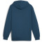 PUMA King Top Hoodie Herren