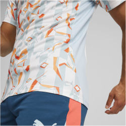 PUMA Neymar Jr. Creativity Trikot Herren