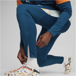 PUMA Neymar Jr. Creativity Trainingshose Herren