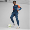 PUMA Neymar Jr. Creativity 1/4-Zip Trainings-Top Herren