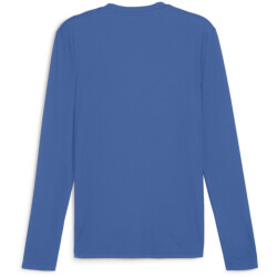 PUMA teamGOAL Baselayer Langarmshirt Herren