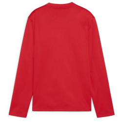 PUMA teamGOAL Trainings-Sweatshirt Jungen