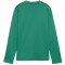 PUMA teamGOAL Trainings-Sweatshirt Jungen
