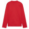 PUMA teamGOAL Trainings-Sweatshirt Jungen
