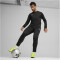 PUMA teamGOAL Trainings-Sweatshirt Herren