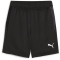 PUMA teamGOAL Trainingsshorts Jungen