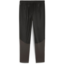 PUMA teamGOAL Trainingshose Herren