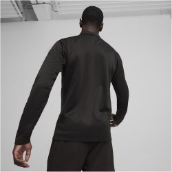 PUMA teamGOAL Trainingsjacke Herren