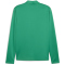 PUMA teamGOAL Trainingsjacke Herren