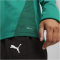 PUMA teamGOAL 1/4-Zip Trainings-Top Damen