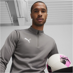 PUMA teamGOAL 1/4-Zip Trainings-Top Herren