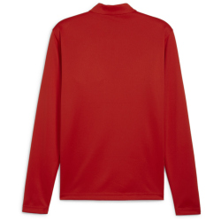 PUMA teamGOAL 1/4-Zip Trainings-Top Herren