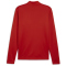 PUMA teamGOAL 1/4-Zip Trainings-Top Herren