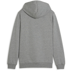 PUMA teamGOAL Casuals Hoodie Jungen