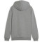PUMA teamGOAL Casuals Hoodie Jungen