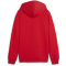 PUMA teamGOAL Casuals Hoodie Jungen