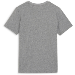PUMA teamGOAL Casuals T-Shirt Jungen