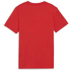 PUMA teamGOAL Casuals T-Shirt Jungen