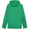 PUMA teamFINAL Allwetterjacke Herren