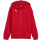 PUMA teamGOAL Casuals Kapuzenjacke Jungen