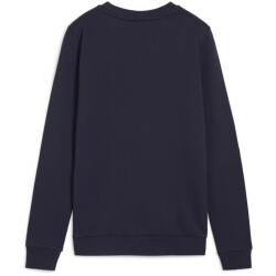 PUMA teamGOAL Casuals Crew Neck Sweatshirt Damen