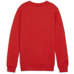PUMA teamGOAL Casuals Crew Neck Sweatshirt Jungen