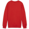 PUMA teamGOAL Casuals Crew Neck Sweatshirt Jungen