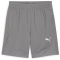 PUMA teamFINAL Trainingsshorts Herren