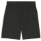 PUMA teamFINAL Trainingsshorts Herren