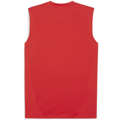 PUMA teamFINAL &auml;rmelloses Trainingsshirt Herren