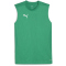 PUMA teamFINAL ärmelloses Trainingsshirt Herren