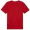 PUMA teamFINAL Trainingsshirt Herren