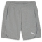 PUMA teamFINAL Casuals Shorts Herren