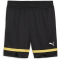 PUMA The Golden Ticket Basketballshorts Herren