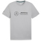 PUMA Mercedes-AMG Petronas Motorsport Essentials Logo T-Shirt Herren