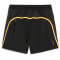 PUMA Run Favorite Velocity 5" Laufshorts Herren