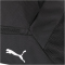 PUMA teamGOAL Teamtasche S