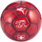 PUMA SFV Schweiz Fan Fußball