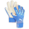 PUMA Future Pro SGC Torwarthandschuhe