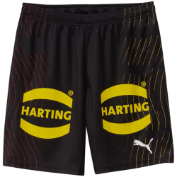 PUMA DHB Deutschland Shorts mit Sponsor 2024 Herren 02 -...