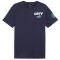 PUMA Manchester City FC Ftblicons T-Shirt Herren 05 - PUMA navy/PUMA white L
