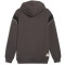 PUMA BVB Borussia Dortmund FtblArchive Hoodie Herren 04 - shadow gray/cool mid gray XL